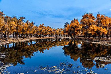 EA公布2021年玩家数据 《APEX英雄》玩家使用了120亿个跳板